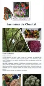 Newsletter